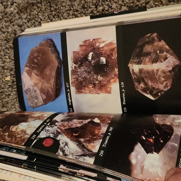 First Edition Audubon Society Field Guide to Rocks and Minerals - Picture 6 of 7
